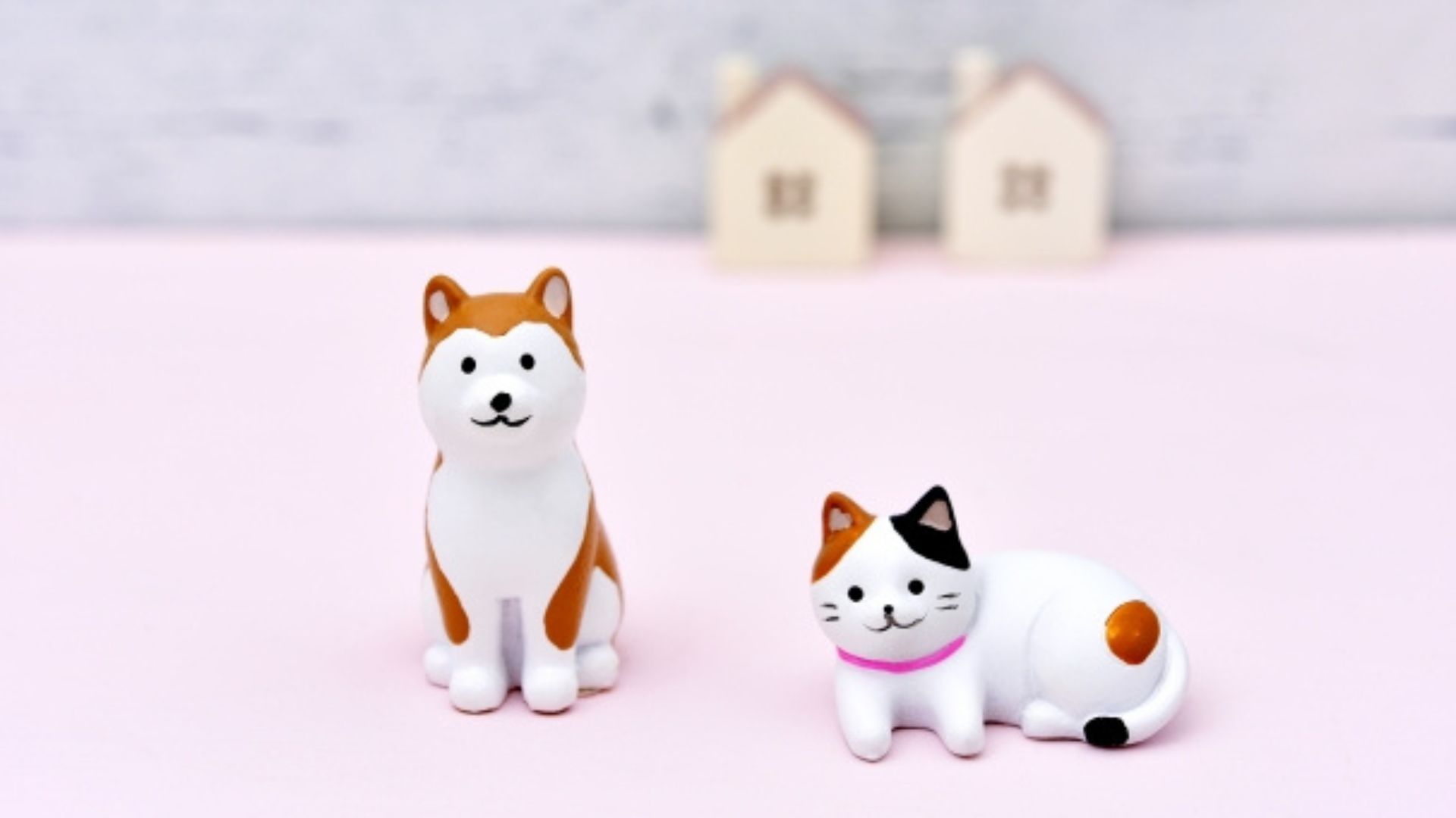 ペットと暮らす家をつくるポイントを紹介~愛犬・愛猫が暮らしやすい住まい~ 画像