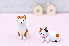 ペットと暮らす家をつくるポイントを紹介～愛犬・愛猫が暮らしやすい住まい～ アイキャッチ画像